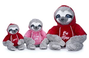 Sloth in A Hoodie