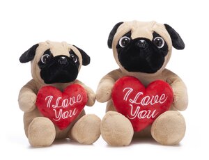 Pug with I Love You Heart