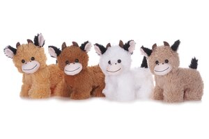 Natural Coloured Cows